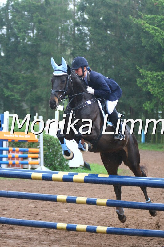 005L4660_J_Dremes S_Springpferde A xx.JPG